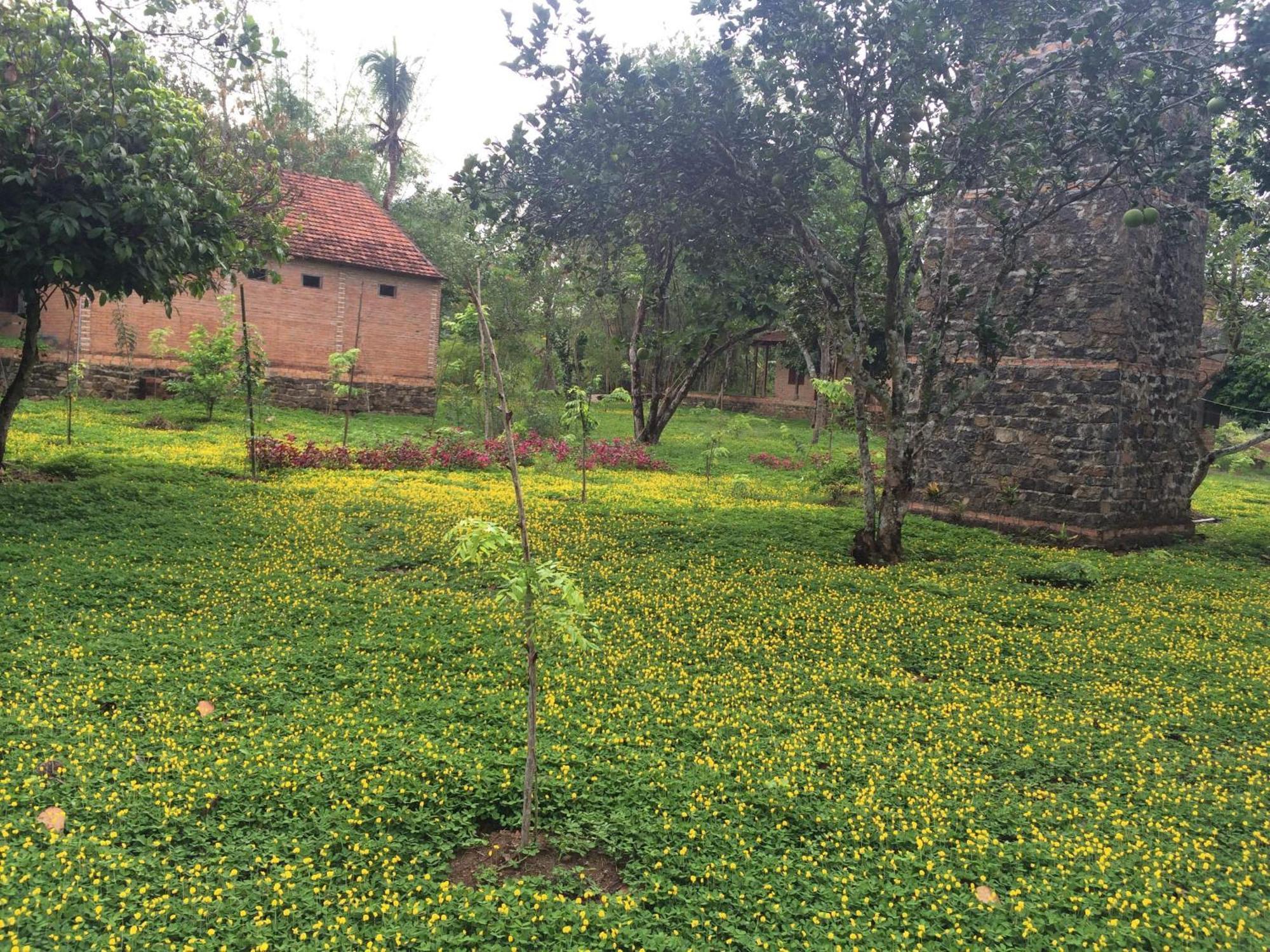 Green Hope Lodge Cát Tiên Phòng bức ảnh