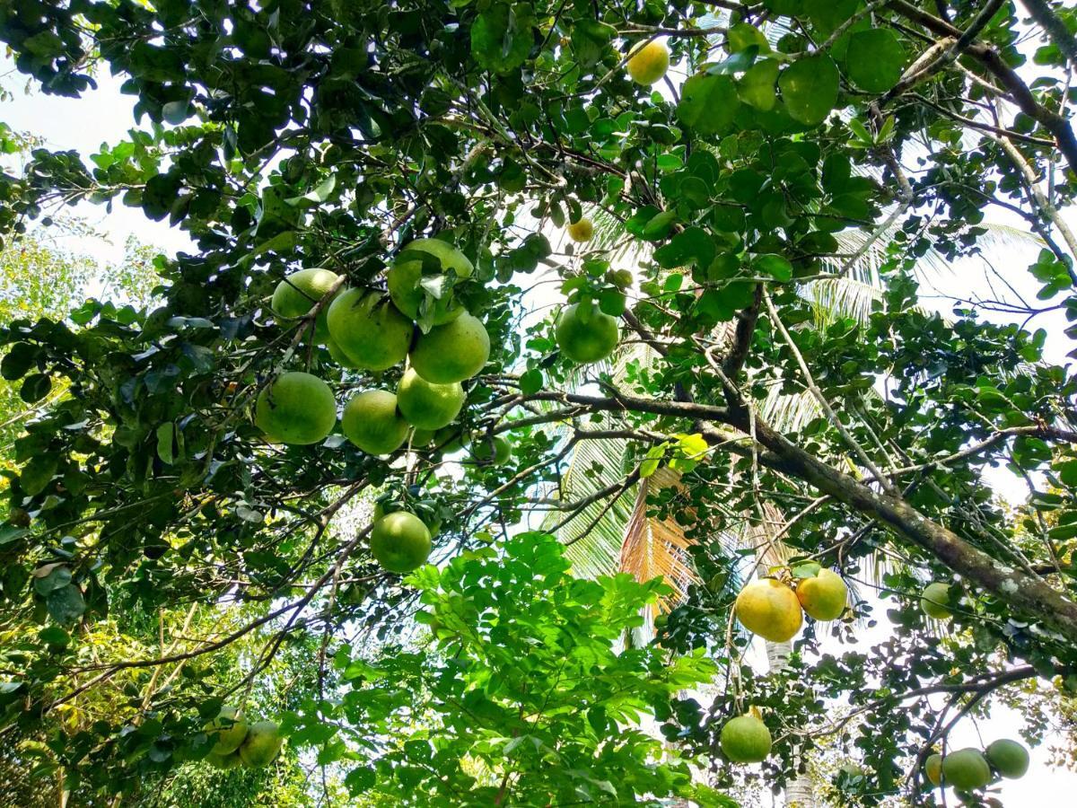 Green Hope Lodge Cát Tiên Ngoại thất bức ảnh