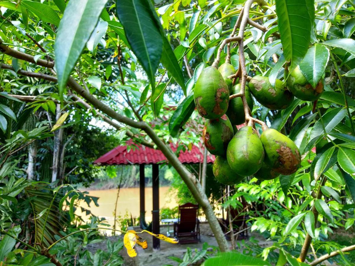 Green Hope Lodge Cát Tiên Ngoại thất bức ảnh